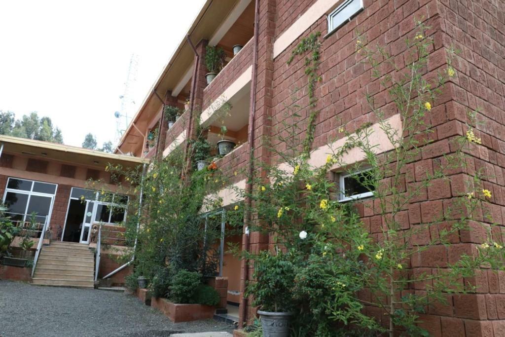 Fikirandray Lodge Lalibela Exterior photo